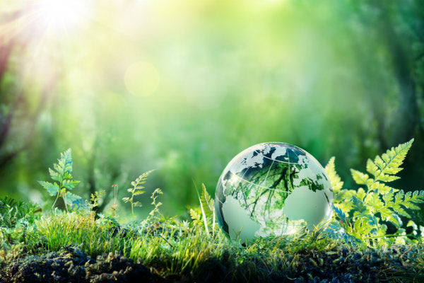 Globo de vidro refletindo árvores sobre musgo e vegetação verde, simbolizando sustentabilidade e preservação ambiental.