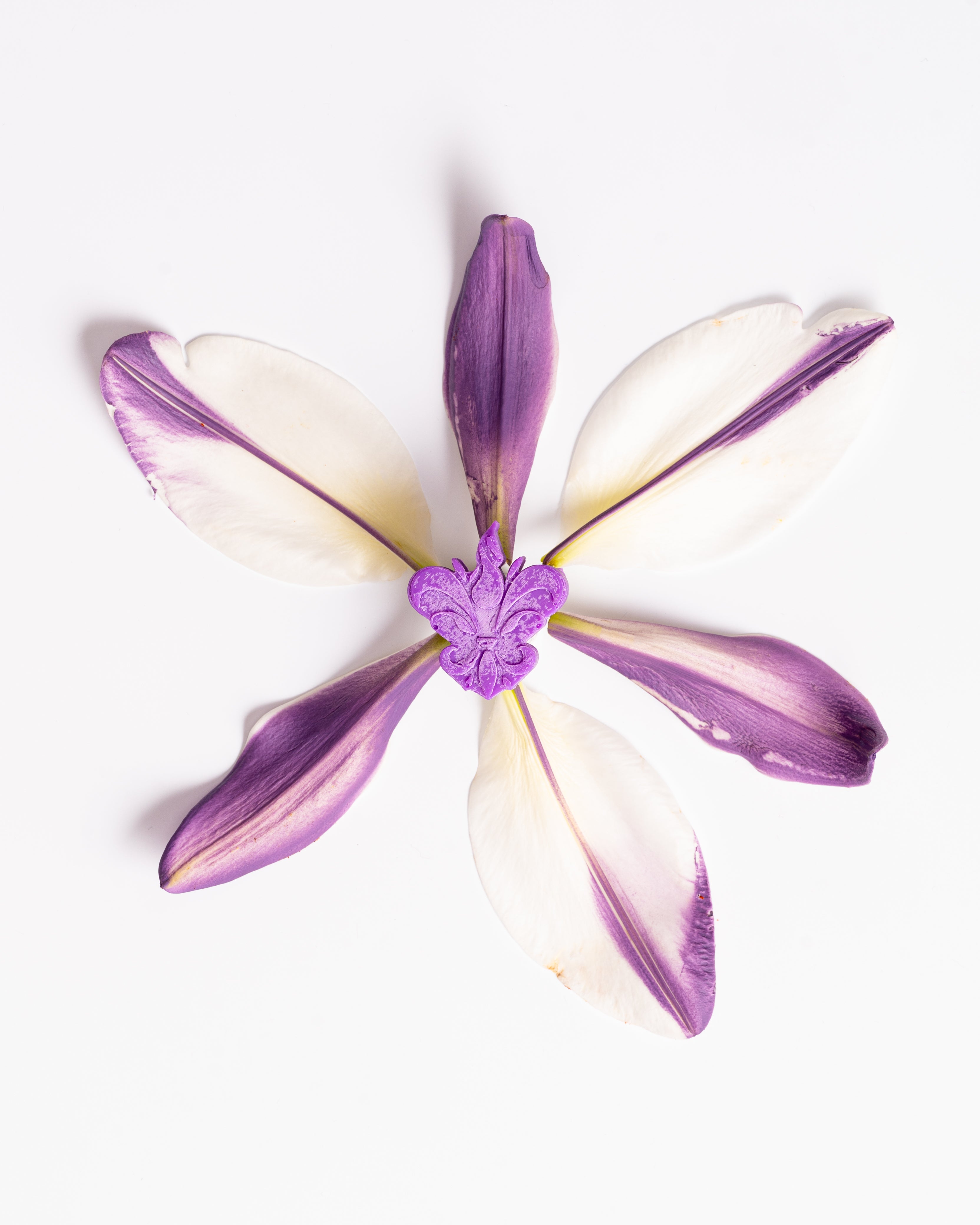 Wax melts Lírio Lilás representados por pétalas brancas e roxas em forma de flor sobre fundo branco, evocando um aroma floral delicado e suave.