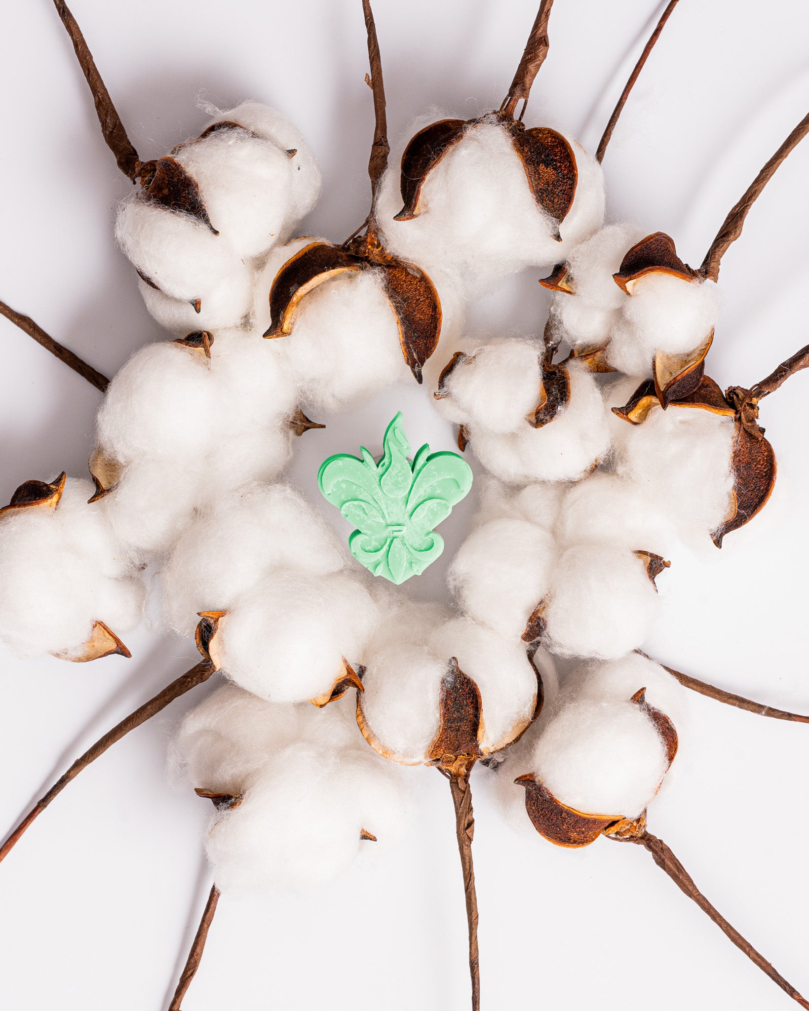 Pack 6 Wax Melts