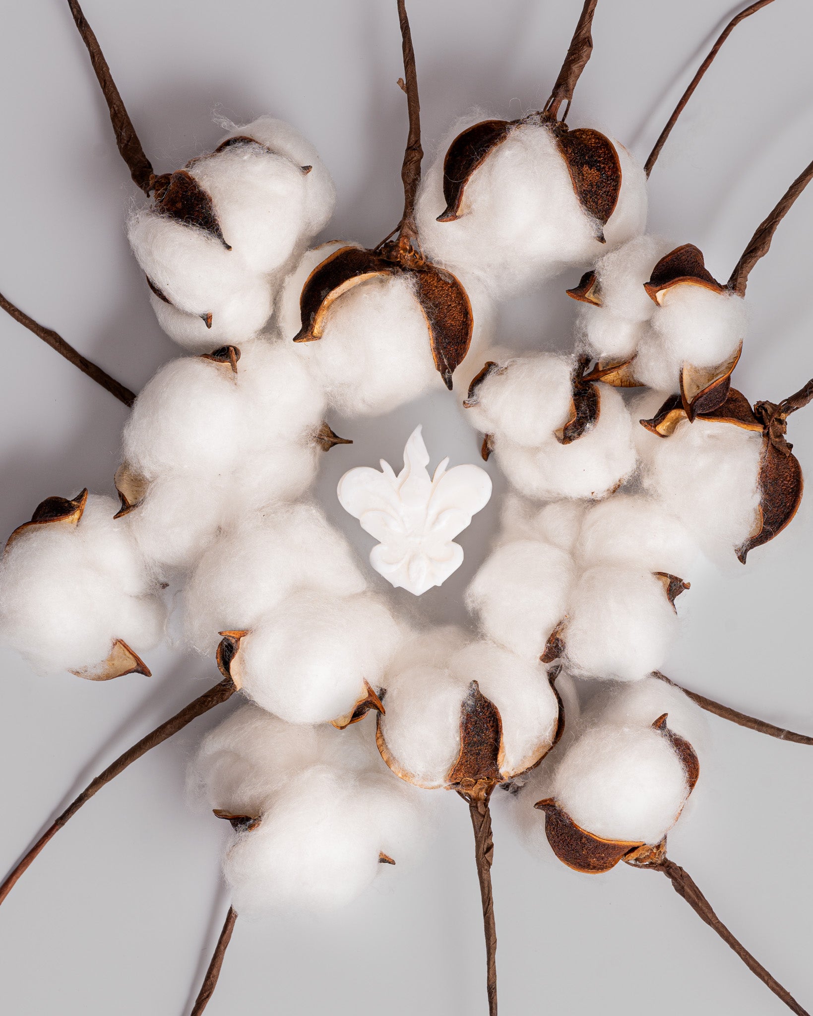 Wax melts Bergamota & Jasmim representados por cápsulas de algodão branco em volta de uma peça central, evocando uma fragrância cítrica, fresca e floral.