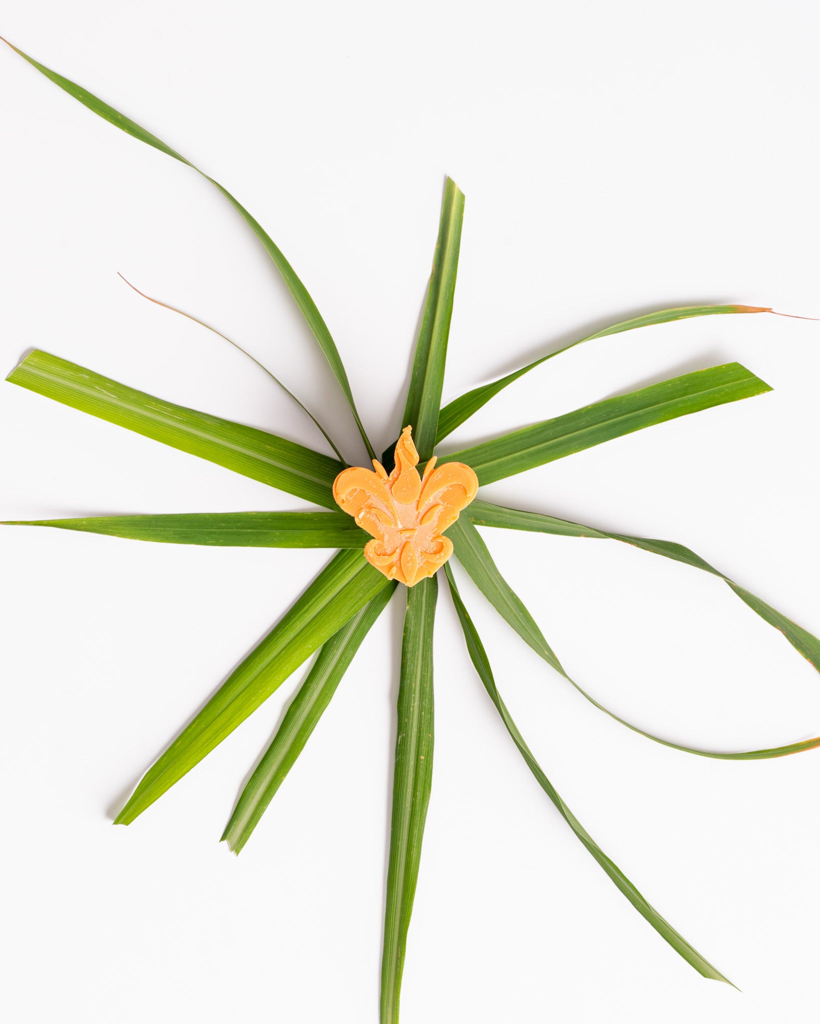 Wax melts Citronela representados por folhas verdes frescas em contraste com peça central amarela, evocando um aroma cítrico e natural com propriedades repelentes.