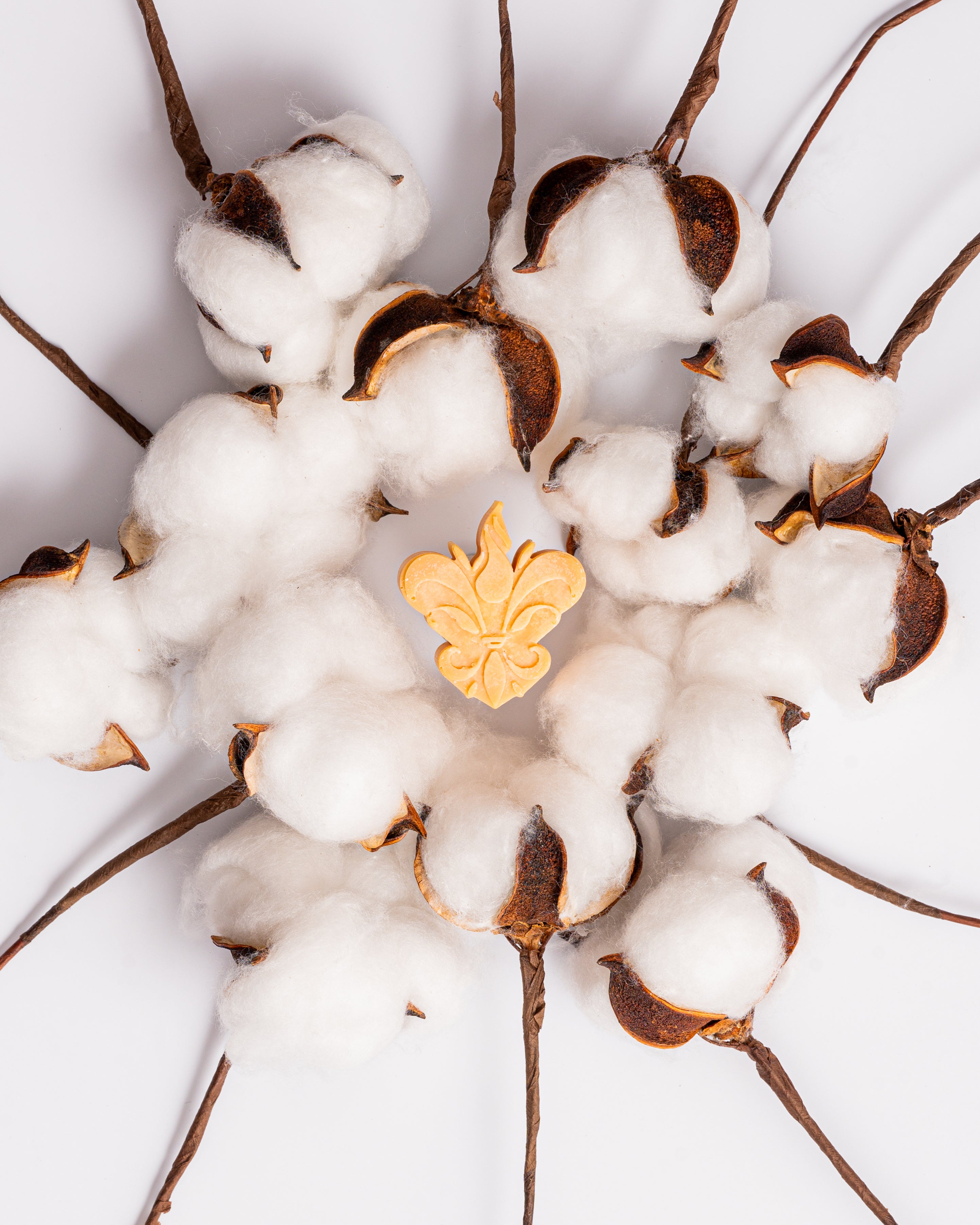 Wax melts Madeira de Sândalo & Baunilha representados por plantas de algodão branco em volta de uma peça central castanha clara, evocando uma fragrância quente, amadeirada e adocicada.